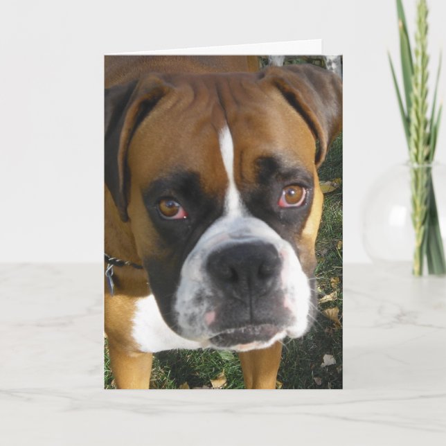 American Bulldog Birthday Card Kort (Framsida)