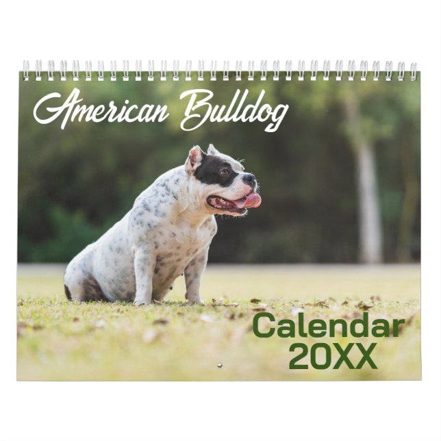 American Bulldog-Hund 2026 Kalender (Omslag)