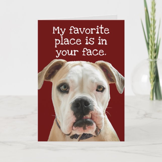 American Bulldog No Bull Fars dag Card Kort (Framsida)