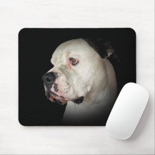 American Bulldog on Black Musmatta