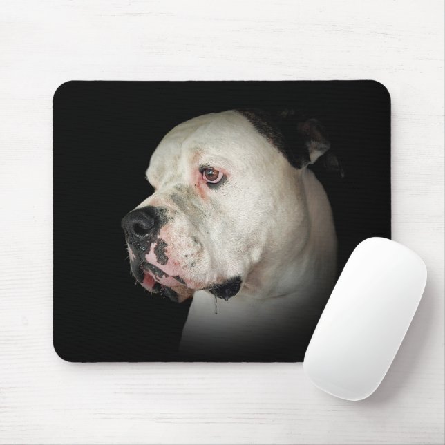 American Bulldog on Black Musmatta (Med mus)
