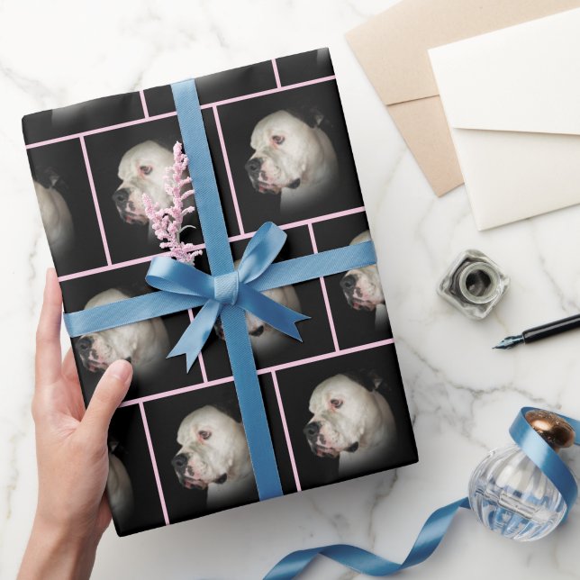 American Bulldog on Black Presentpapper (Gifting)