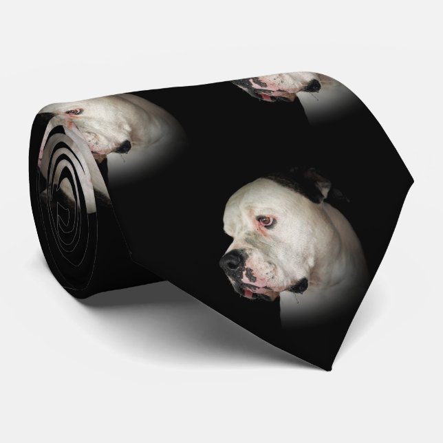 American Bulldog on Black Slips (Rullad)
