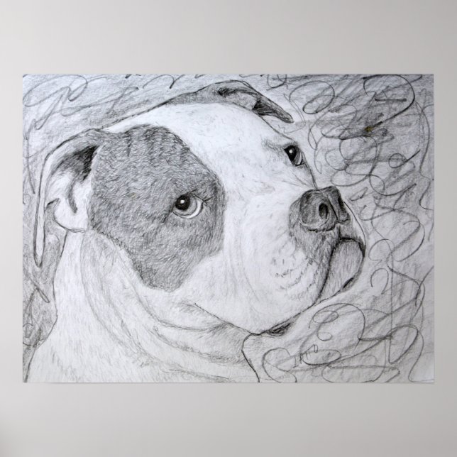 American Bulldog Pet Porträtt Art Pencil Teckning Poster (Framsidan)