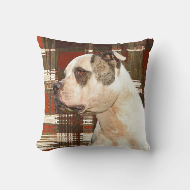American Bulldog Play Pillow Kudde (Framsida)