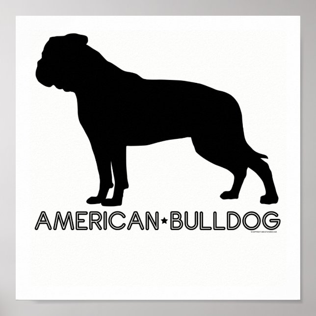 American Bulldog Print Poster (Framsidan)