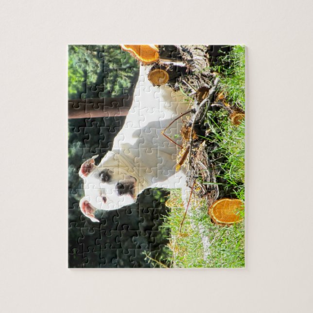 American Bulldog Puzzle Pussel (Vertikal)