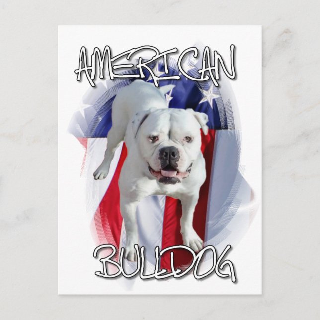 American Bulldog Vykort (Framsida)