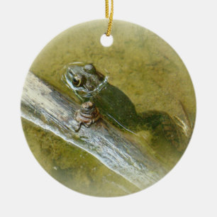 American Bullfrog - Rana catesbeiana Julgransprydnad Keramik