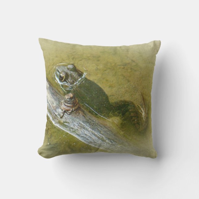 American Bullfrog - Rana catesbeiana Kudde (Framsida)