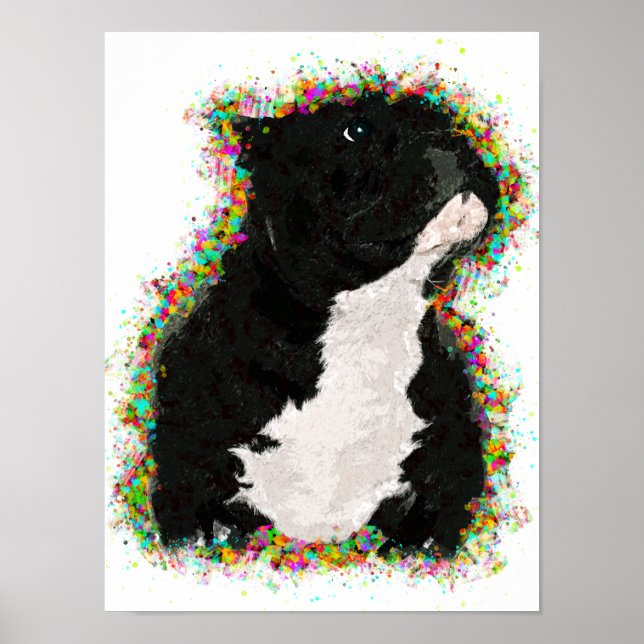 American Bully Colorful Pop Art Poster (Framsidan)
