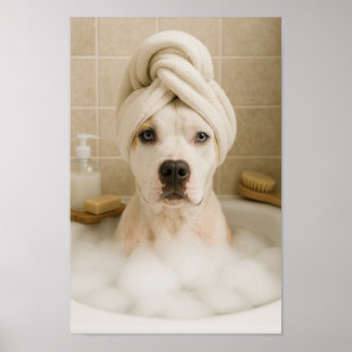 american bully dog cute funny bathroom decor poster
