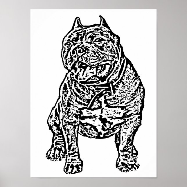 American Bully Hund Poster (Framsidan)