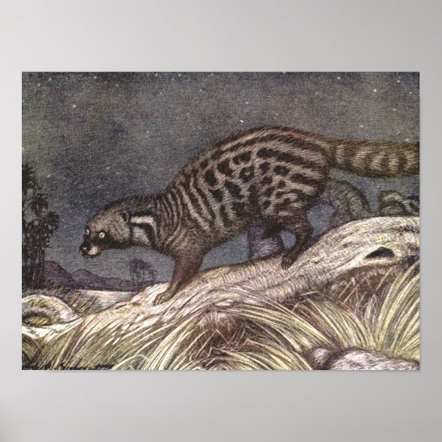 American Civet av Louis Sargent, Vintage Animals Poster (Framsidan)