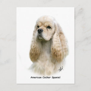 American Cocker Spain 9Y244D-035 Vykort