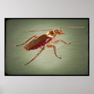 American Cockroach 🪳 Poster
