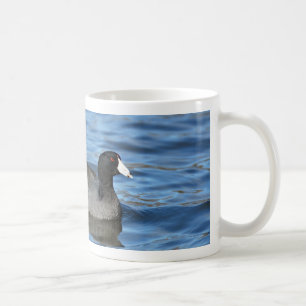 American Coot Kaffemugg