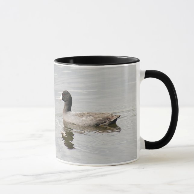American Coot Mugg (Höger)