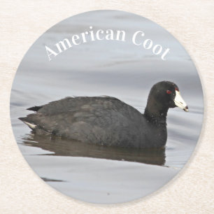 American Coot Underlägg Papper Rund