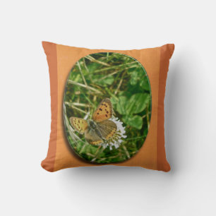 American Copper Butterfly Kudde