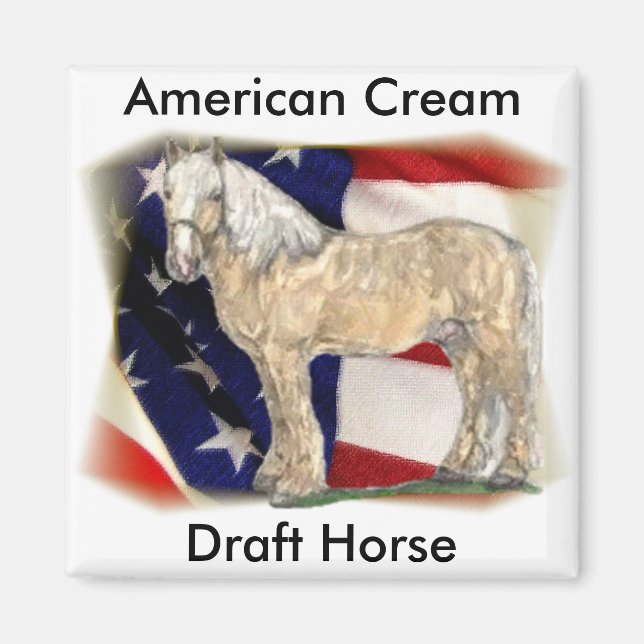 American Cream Horse Magnet (Framsidan)