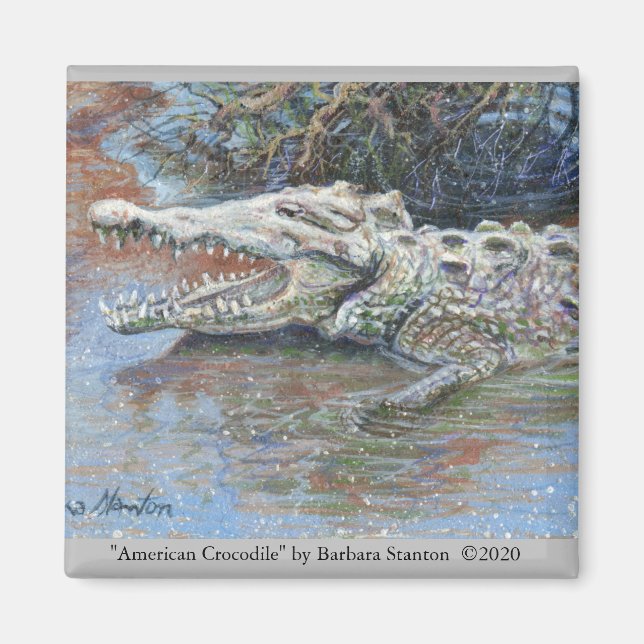 "American Crokodile" Magnet (Framsidan)