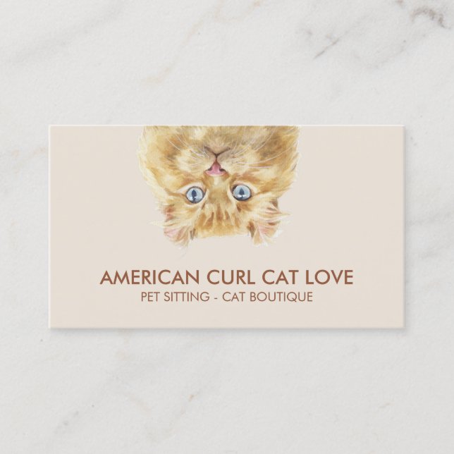 American Curl Cat Visitkort (Framsida)