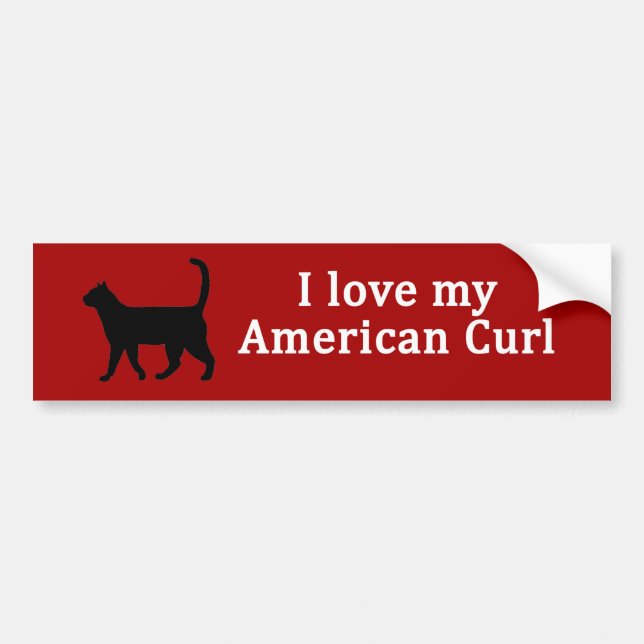 American Curl Kärlek Bildekal (Framsidan)