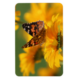 American Dam Butterfly Magnet