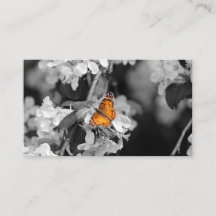 American Dam Butterfly On Blommar Affärskort