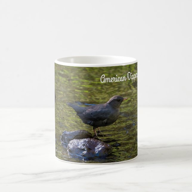 American Dipper Kaffemugg (Center)