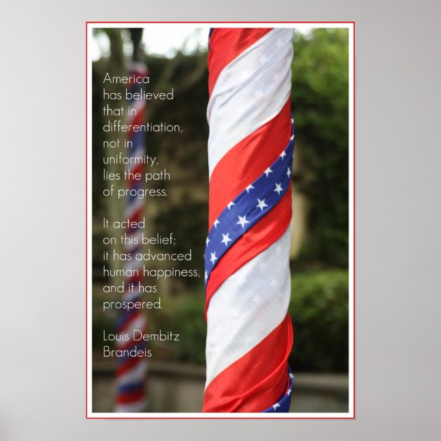 American Diversity Patriotic Poster (Framsidan)