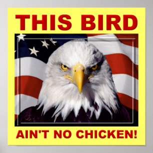 American Eagle Ain't No Chicken Affisch Skylt