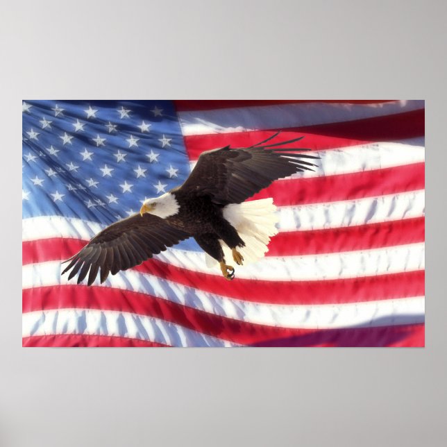 American Eagle and Flag Poster (Framsidan)
