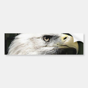 American Eagle Bildekal