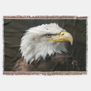 American Eagle Filt