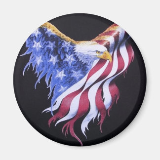 American Eagle Flagga Magnet