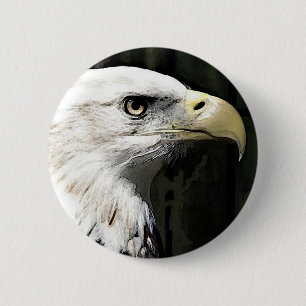 American Eagle Knapp