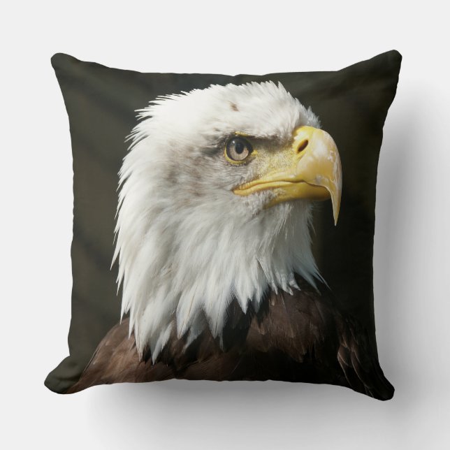 American Eagle Kudde (Framsida)