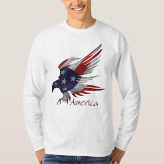 American Eagle M Långärmad T-Shirt