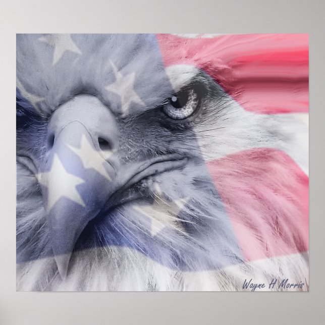 American Eagle Poster (Framsidan)