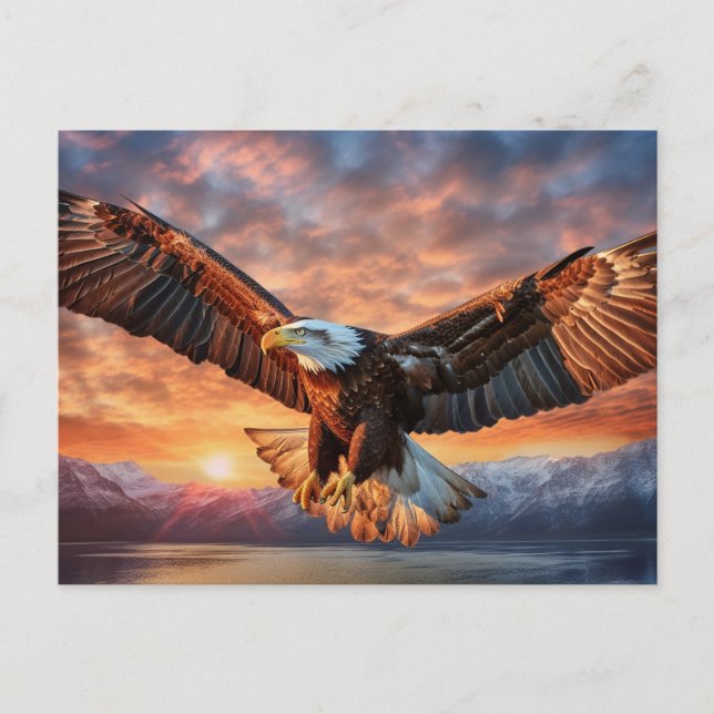 American Eagle Vykort (Framsida)