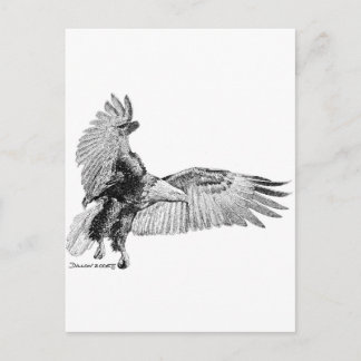 American Eagle Vykort