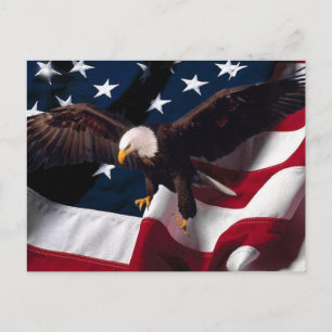 American Eagle vykort 1