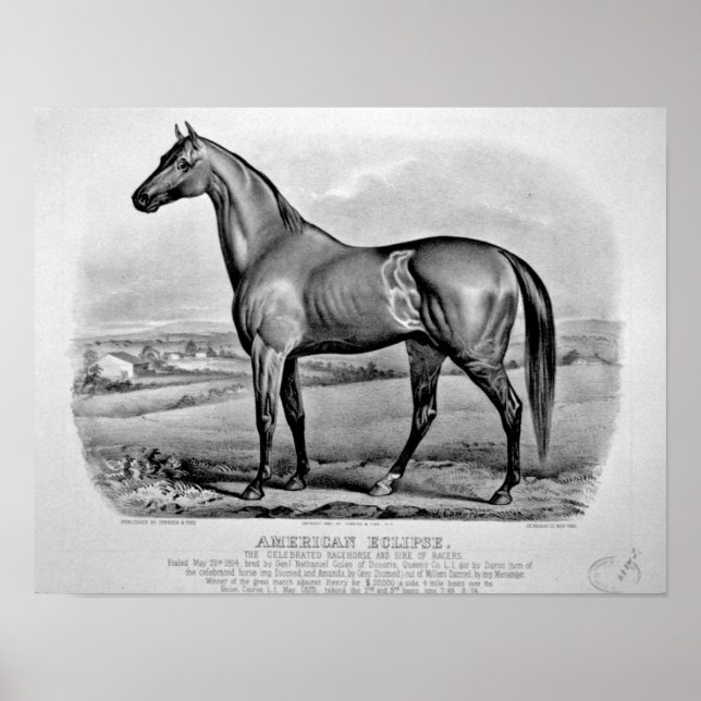 American Eclipse Poster (Framsidan)