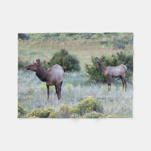 American Elk   Colorado Fleecefilt