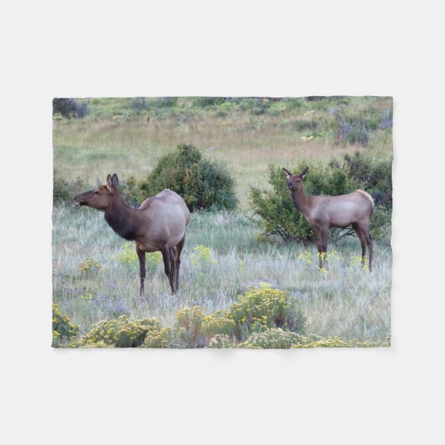 American Elk | Colorado Fleecefilt (Framsidan (Horisontell))