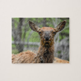 American Elk Puzzle Pussel