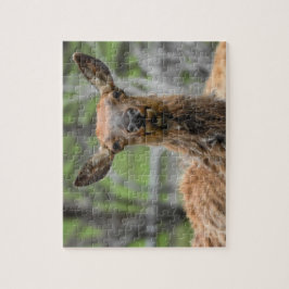 American Elk Puzzle Pussel