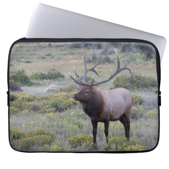 American Elk | Rocky National Park, Colorado Laptop Fodral (Framsidan)